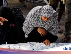 Bayi Kembar Di Gaza Tewas Diserang Israel Pada Ayahnya Ambil Akta Kelahiran