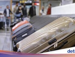 5 Tips agar Barang Dagangan Bawaan Lolos Pengecekan Bea Cukai