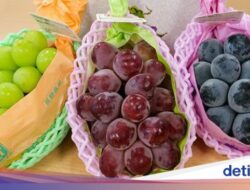 3 Jenis Anggur yang Manis Juicy Di Jepang