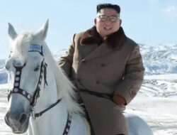 Beli Peluru Artileri Korea Utara, Putin Bayar Pakai 24 Ekor Kuda Hingga Kim Jong-un