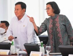 Rincian APBN 2025 Di Tahun Pertama Prabowo, Pendapatan Negeri Ditarget Rp3.005,1 Triliun