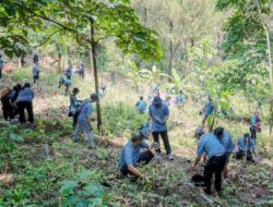 TRID-Perhutani Tanam 200 Pohon Bagi Masa Di Berkelanjutan