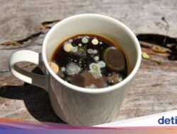 Apakah Bahaya Minum Minuman Kafein yang Sudah Berjamur?