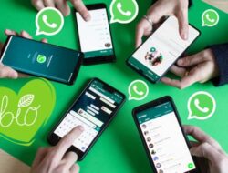 Cara Sadap WhatsApp hanya Didalam Nomor HP Tanpa Inisiatif