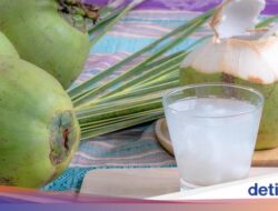 5 Manfaat Minum Air Kelapa Setiap Hari, Ini yang Akansegera Terjadi Di Tubuh