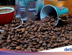 Belajar Minuman Kafein Sambil Cicip Ragam Single Origin Nikmat Hingga Kafe Situbondo