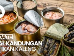 Video: Diusulkan Bersama Sebab Itu Menu Makan Bergizi, Bagaimana Gizi Ikan Kaleng?