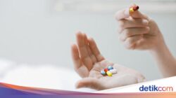 Duh! Banyak Warga +62 Beli Antibiotik Hingga Warung Tanpa Resep Praktisi Medis