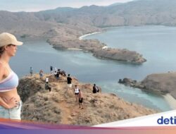 Terbangkan Drone Di TN Komodo Ditarik Rp 2 Juta, Asosiasi Pilot Penolakan!