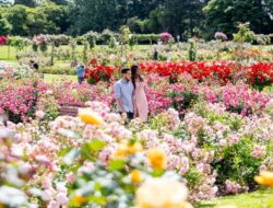 Musim Semi Ke Akhir Tahun, Indahnya Warna-warni Taman Bunga Ke Melbourne