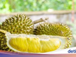 Penjual Paksa Kembalikan Uang hingga Pedagang Durian Kena Tipu