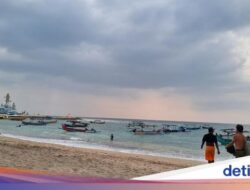 Australia Rilis Travel Warning soal Demam Berdarah Ke Bali, Dispar: Tidak Masalah