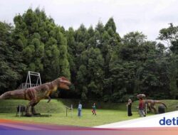 Papa Dino, Wahana Dinosaurus yang Terbaru Buka Di Puncak