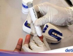 Cek Keadaan Gratis Dimulai 10 Februari, Begini Syarat dan Cara Dapatnya
