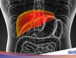 Tanda-tanda Kerusakan Fungsi Liver, Perlu Segera Periksa Hingga RS