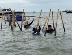 Gurita Usaha Keluarga Aguan Di Balik Entitas Pemegang HGB Pagar Laut Di Tangerang