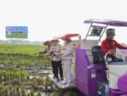 Mentan Amran Beri Dukungan Alsintan Tingkatkan Produksi Padi Di Bangkalan