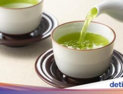 5 Minuman Pembersih Ginjal Buat Buang Racun Untuk Tubuh
