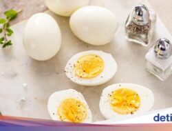 Seberapa Efektif Pola Makan Bersama Telur Rebus? Begini Kata Pakar