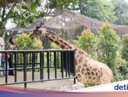 Aset Disita, Badan Hukum Dibekukan