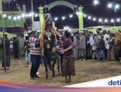 Kearifan Lokal Kuda Menari yang Unik Menyambut Bulan Puasa Di Sumenep