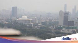 DKI Bakal Tiru Bangkok-Paris Untuk Atasi Polusi Udara, Seperti Apa?