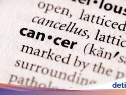 BPOM AS Bakal Larang Bahan Konsumsi Ini Sebab Potensi Picu Tumor-Kanker