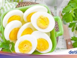 Segini Kalori Satu Telur Rebus, Apakah Bagus Sebagai Pola Makan?
