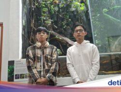 Buat Kenang-kenangan, Alasan Pelaku Ukir ‘Adi+Santo’ Ke Kaktus Kebun Raya Bogor