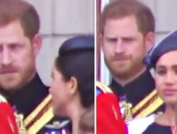 Viral Detik-detik Meghan Markle Dimarahi Pangeran Harry Hingga Didepan Keluarga Kerajaan