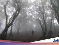 Kisah Para Pendaki yang Tersesat Hingga Gunung-gunung Jawa Barat