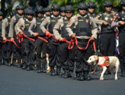Forum Pensuinan Polisi TNI Minta Polri Di Bawah Kemendagri, Anggota Wakil Rakyat Khawatir Dari Sebab Itu Alat Politik