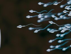 Viral Lomba Balap Sperma Hingga AS, Gimana Cara Bikin Sperma Sehat dan Kuat?