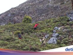 Pencarian Pendaki Hilang Ke Gunung Binaiya Disetop, Pendakian Ditutup Sambil