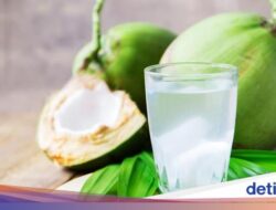 Terungkap! 4 Waktu Terbaik Bagi Minum Air Kelapa