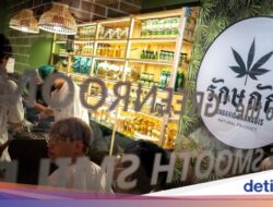 Ganja Tak Lagi Bebas, Toko-Toko Hingga Thailand Bersiap Merugi