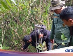 Mati Terjerat Kawat Hingga Garut