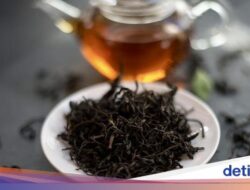 7 Manfaat Minum Teh Hitam Di Pagi Hari, Bagus Buat Dorong Energi