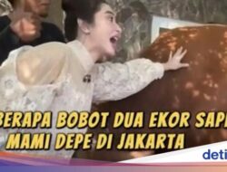 Wow! Dewi Persik Kurban 17 Ekor Sapi dan Ikut Potong Daging