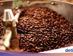 Ini Dia 8 Biji Minuman Terbaik Di Indonesia, Ada Favoritmu?