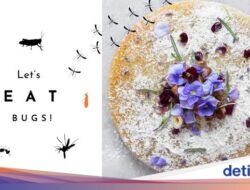 Unik Banget! Wanita Ini Buka Kafe Didalam Menu Kue Serba Serangga