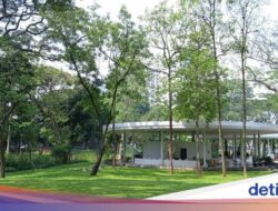 5 Kota Paling Menenangkan Hingga Dunia: Singapura Masuk, Indonesia Tidak