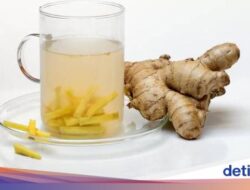 GERD Bikin Tersiksa? 9 Minuman Ini Ampuh Redakan Rasa Terbakar Ke Dada