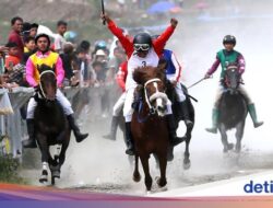 Kearifan Lokal Pacuan Kuda Gayo Karena Itu Pesta Rakyat Hingga Aceh