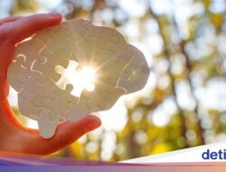Cegah Pikun! Ini 5 Konsumsi yang Bantu Otak Tetap Tajam Pada Dewasa