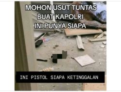 Apa Itu ‘Black Mamba’? Viral Dikaitkan Didalam Penjarahan Tempattinggal Ahmad Sahroni