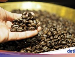 Mau Biji Minuman Tetap Segar? Bekukan Di Freezer Bersama Cara Ini