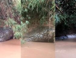 Lagi-lagi Batu Berbentuk Ular Raksasa Tiba-tiba Muncul Di Sungai
