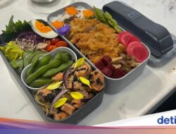 Wajan Serbaguna dan Wadah Bekal ala Prancis yang Praktis Kini Karena Itu Pilihan