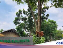 Bermain Ke RTH Kampung Kalibata Jagakarsa yang Terbaru Diresmikan Pramono Anung